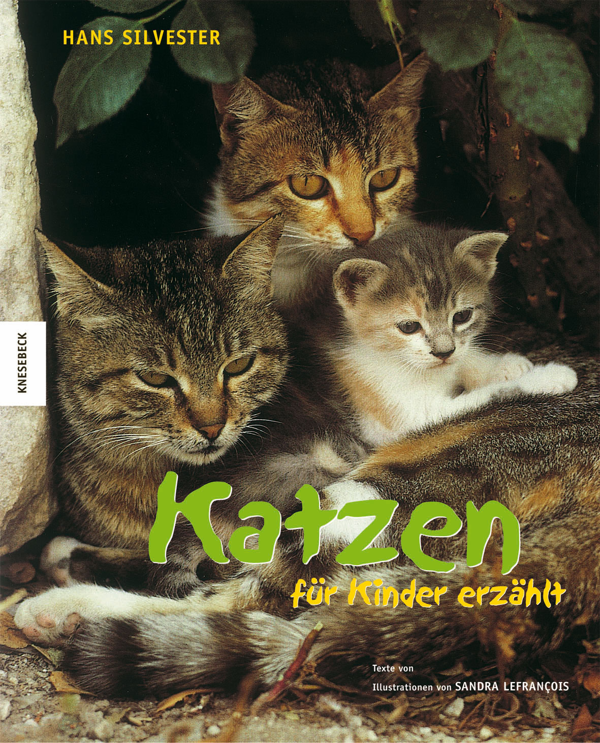 Kindersachbuch